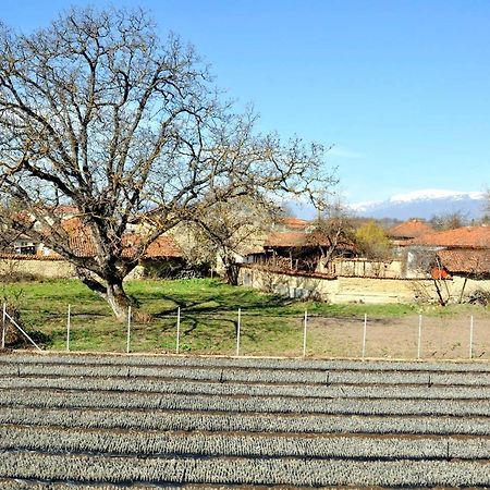 Вила в с. Габарево, Долината на Розите. Gabarevo Екстер'єр фото