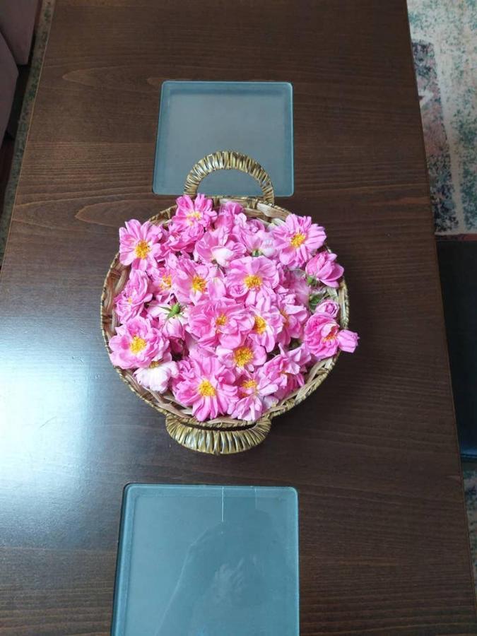 Вила в с. Габарево, Долината на Розите. Gabarevo Екстер'єр фото